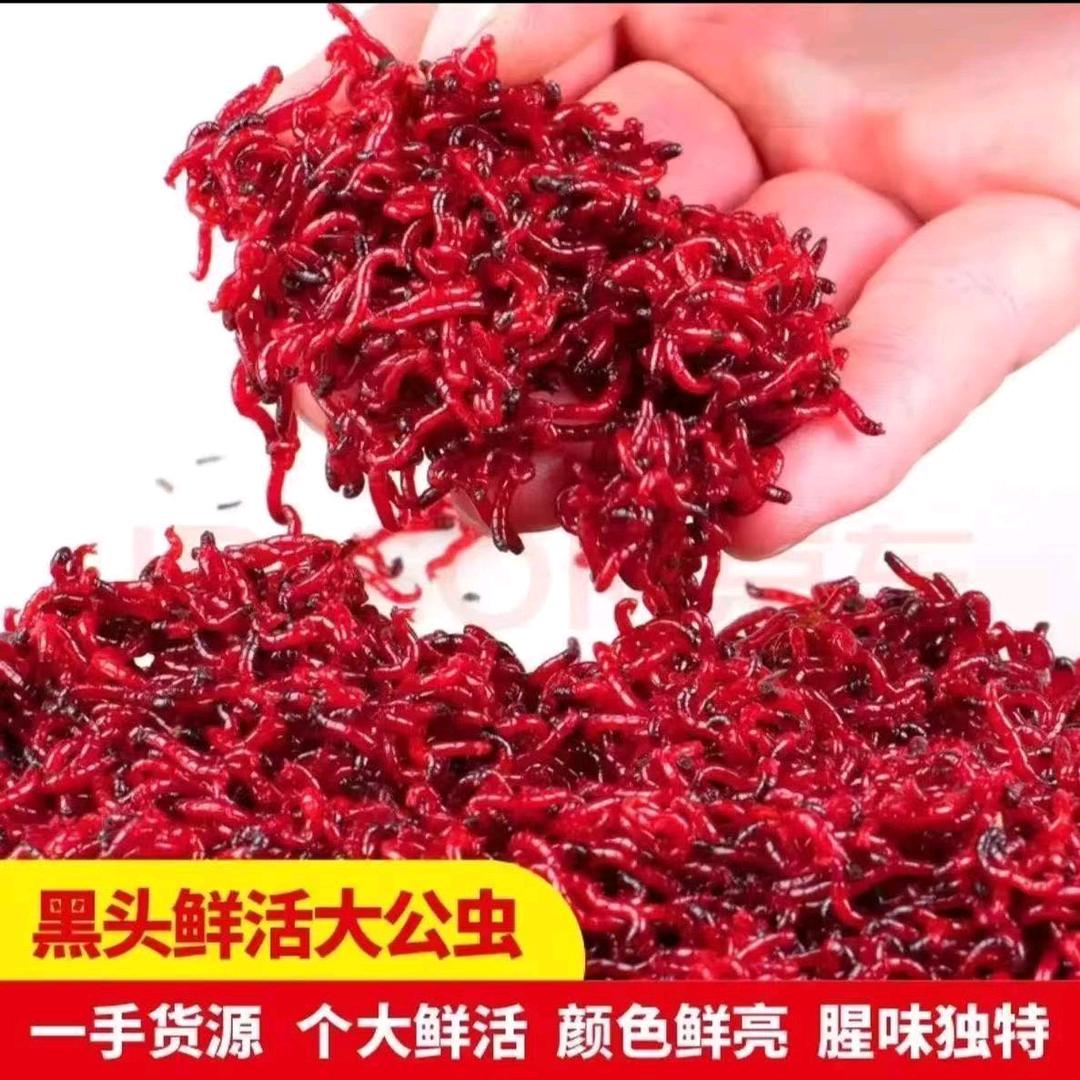 天祥户外红虫