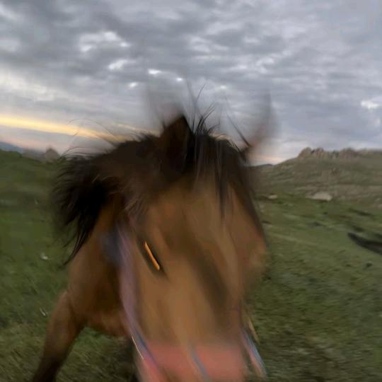 丰丰_