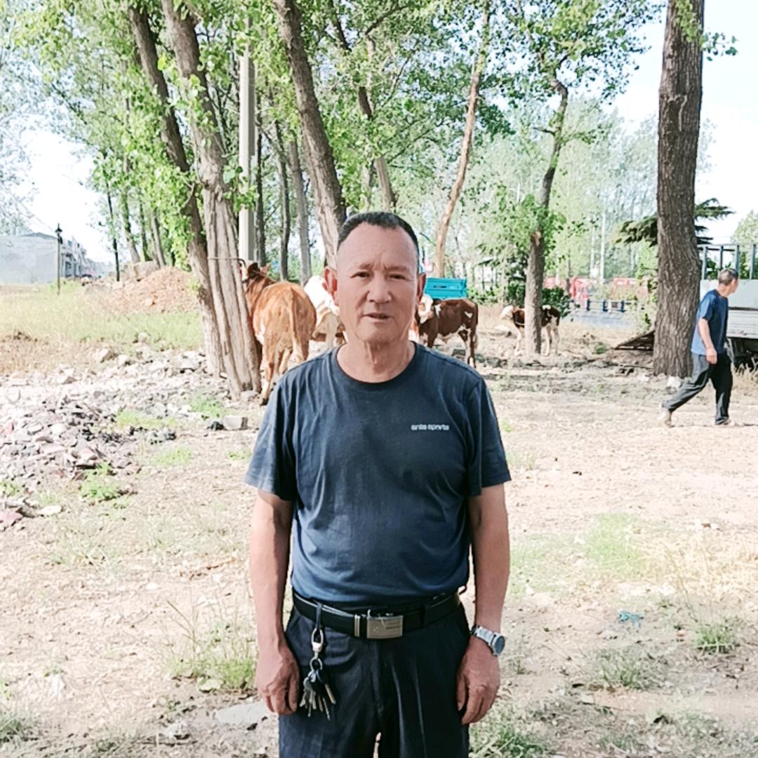老白，三常路逢3逢7牛羊交交易市场