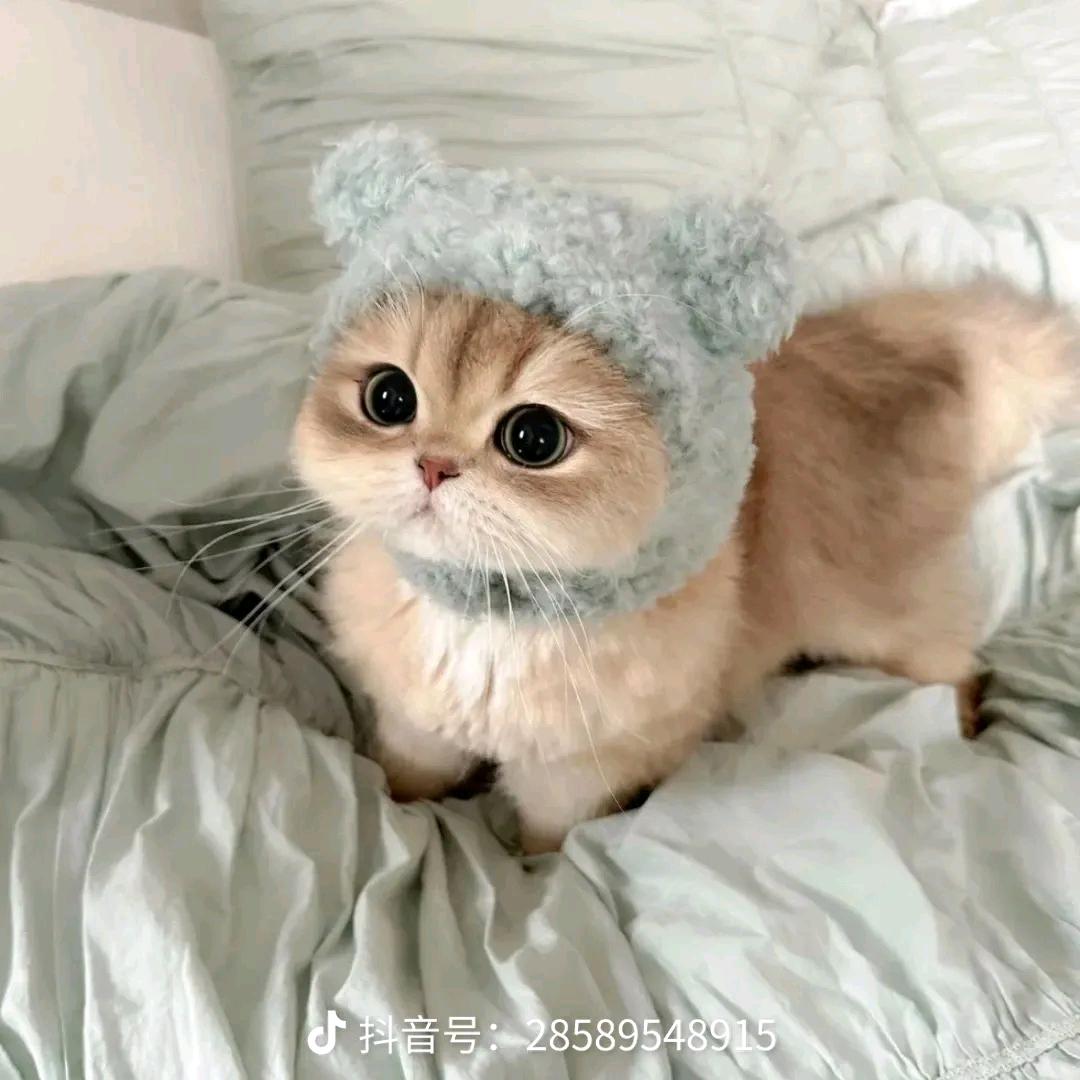 小钦优选