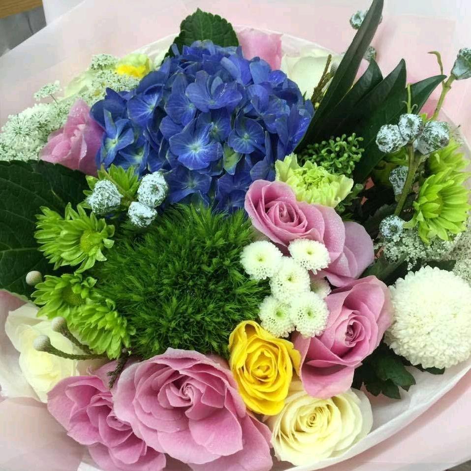 秀丽芬芳