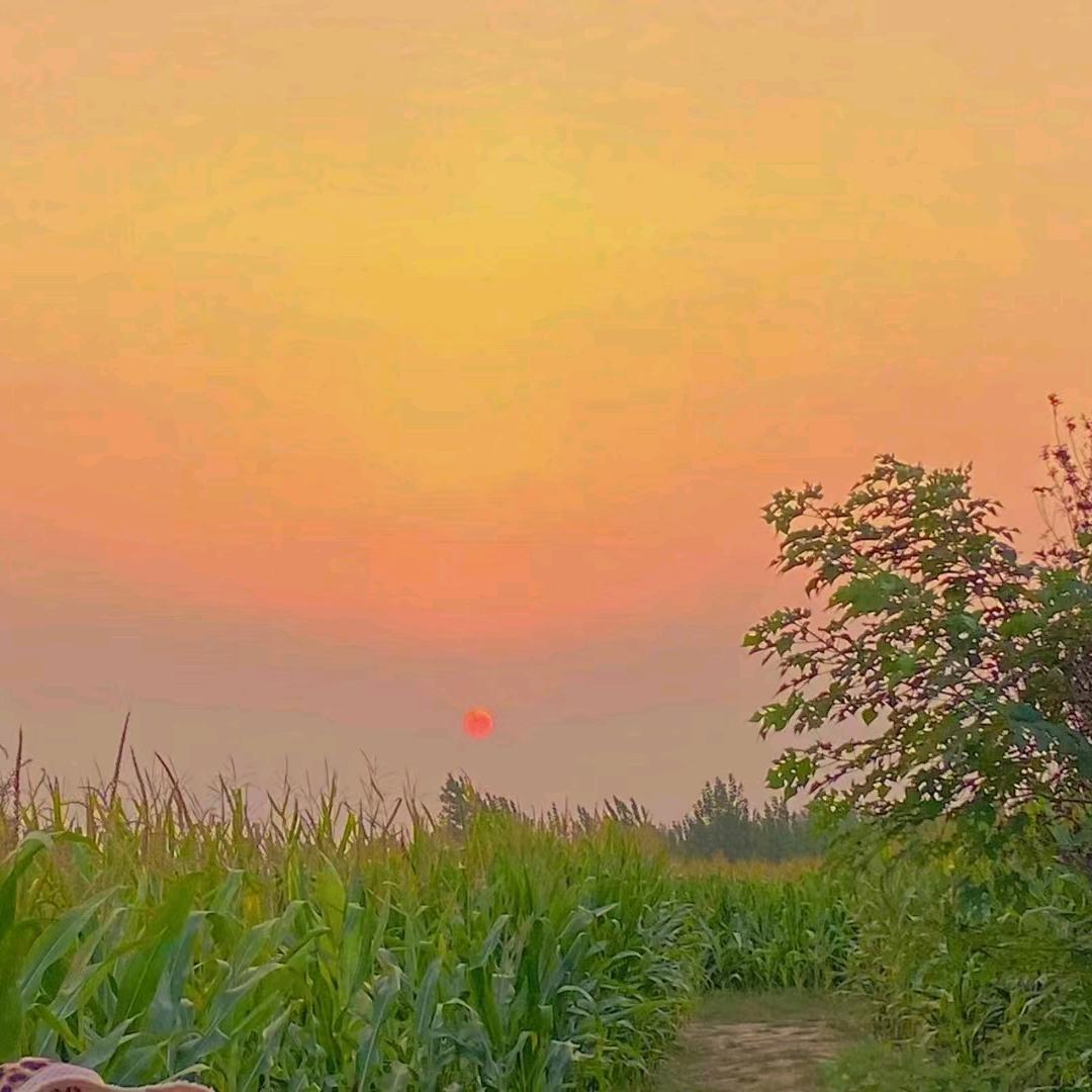 好友福炸串 @酱肉小笼包