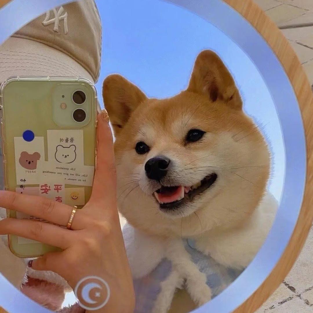 钮钴禄oluᥫᩣ蓉