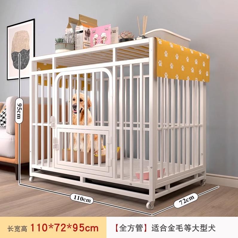 @自在窝宠物生活馆