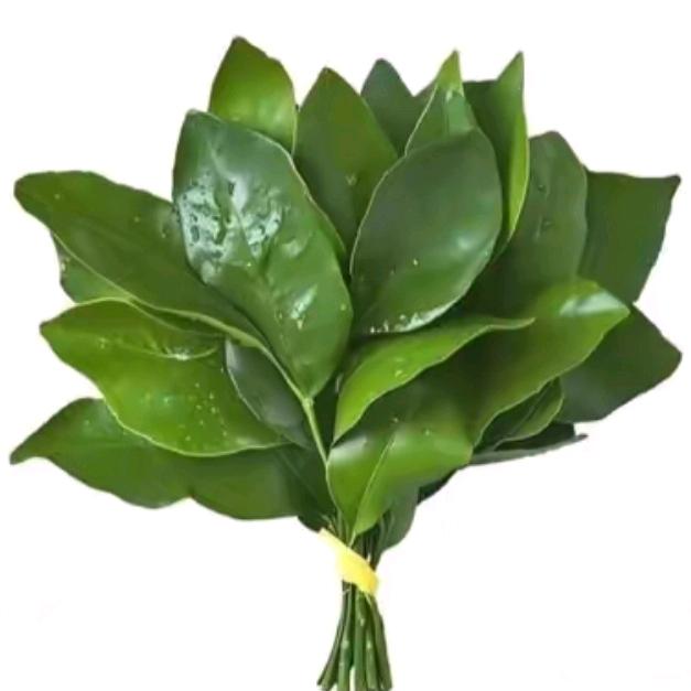 赵赵♡