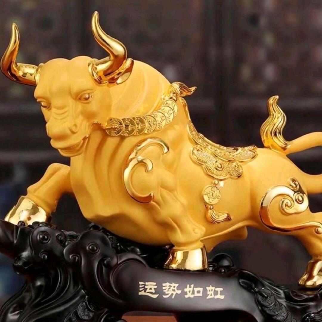 🌿小杜小杜（中药材）