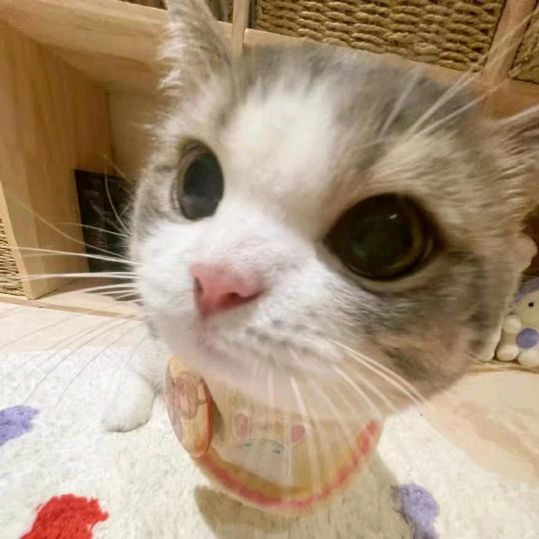 委屈的小鬼