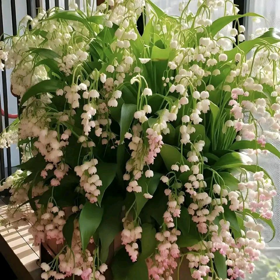 新手上路，拒绝私聊