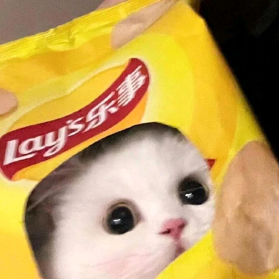 羊羊...