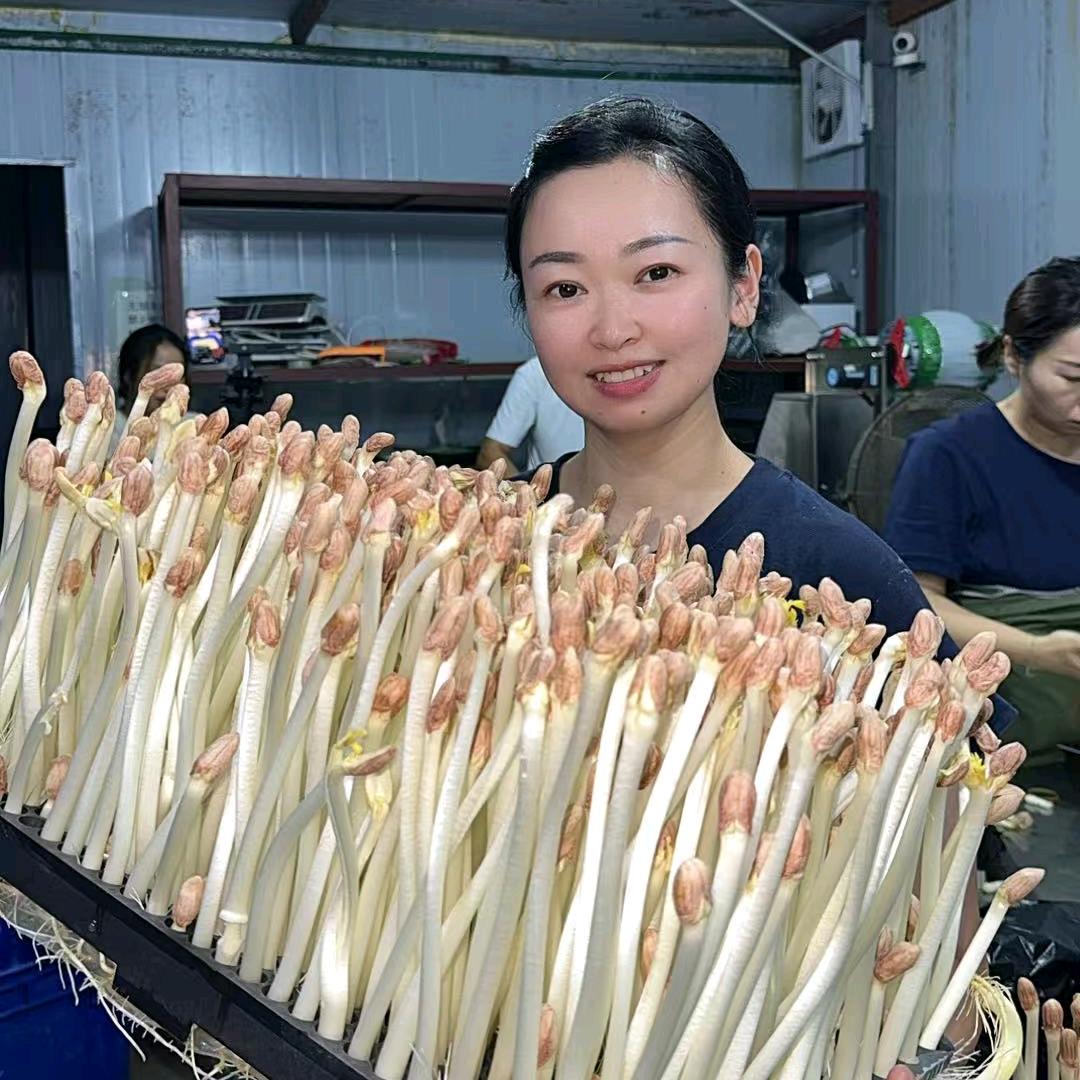 淼淼讲花生芽