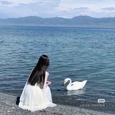 大海@19776688