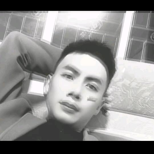 树欲静而风不止