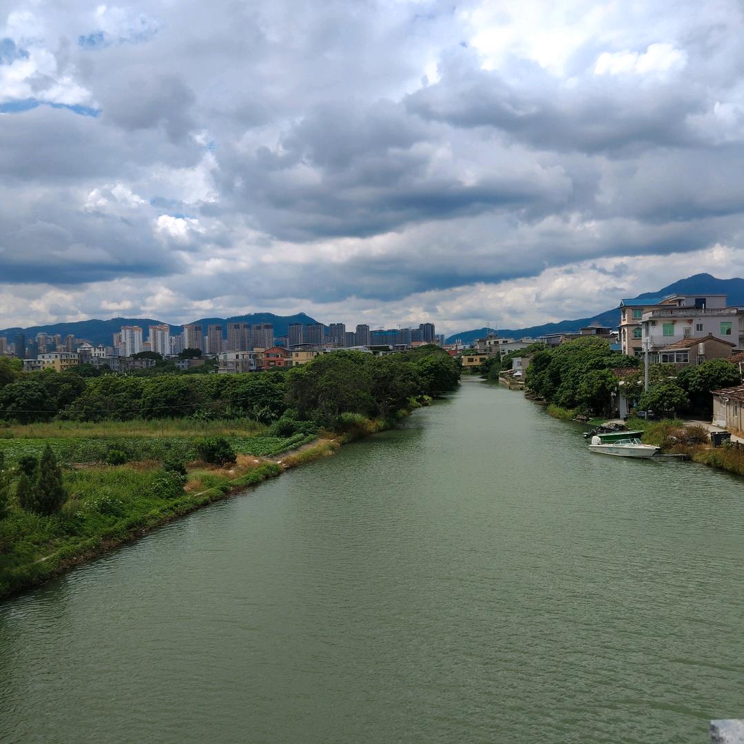 🌾为🌷情💐所🍃伤🌹