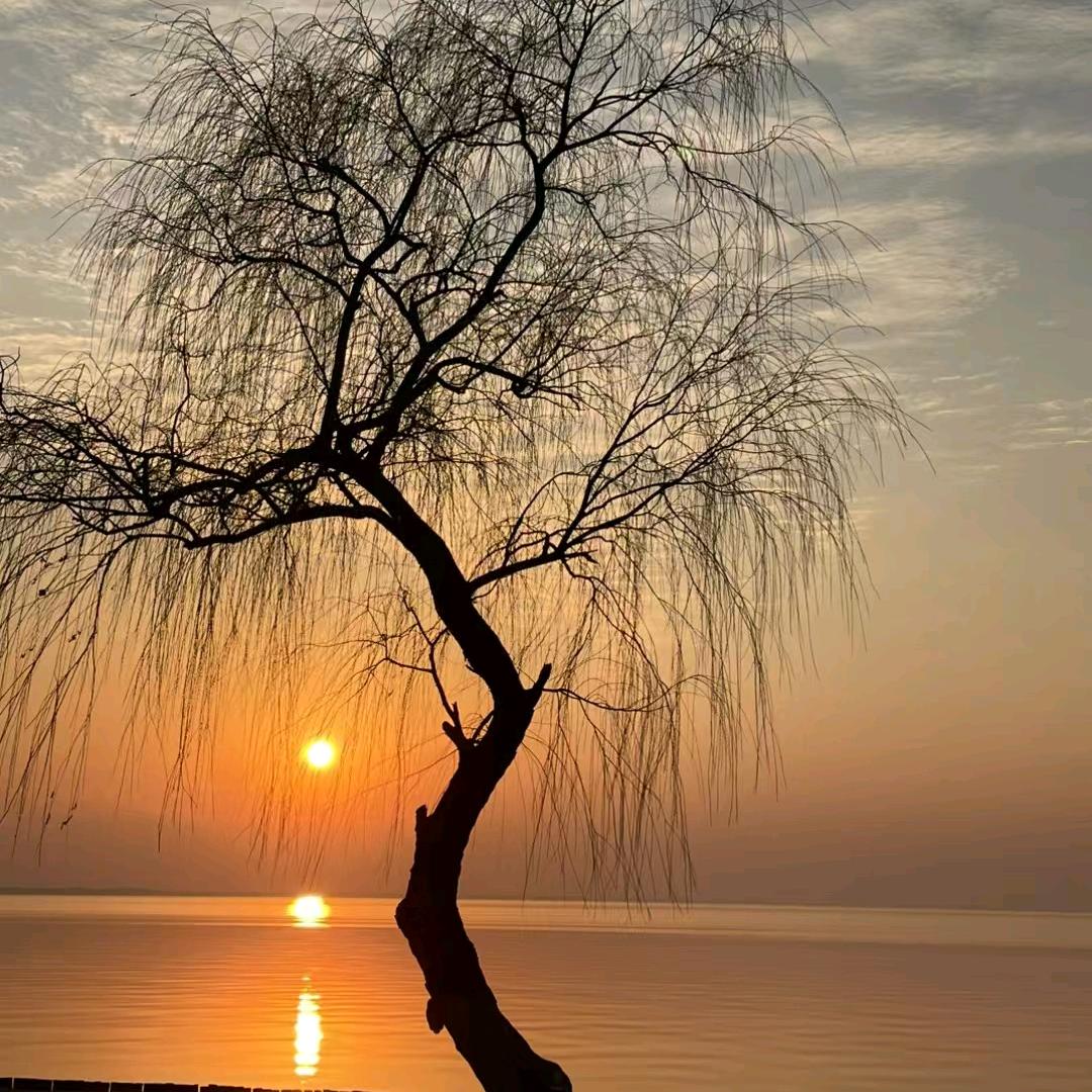 湖滨~远丽探房