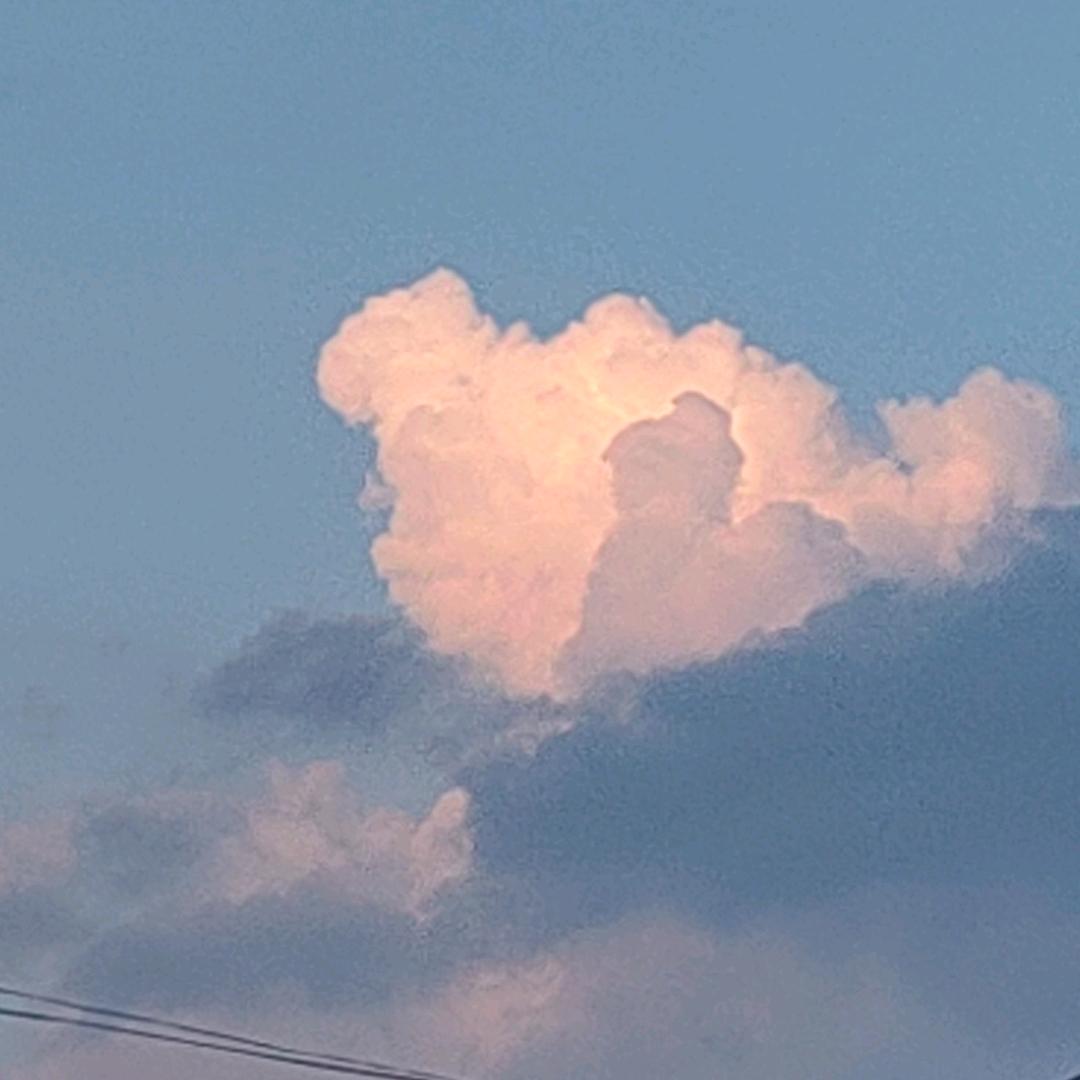 耳总