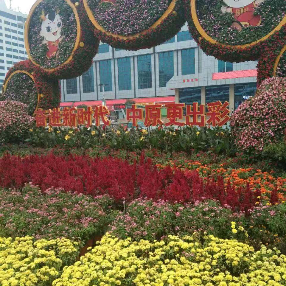 陈萌旧事春华秋实