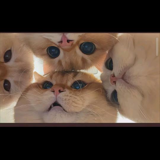 懒懒O(∩_∩)O达不劉W🐻