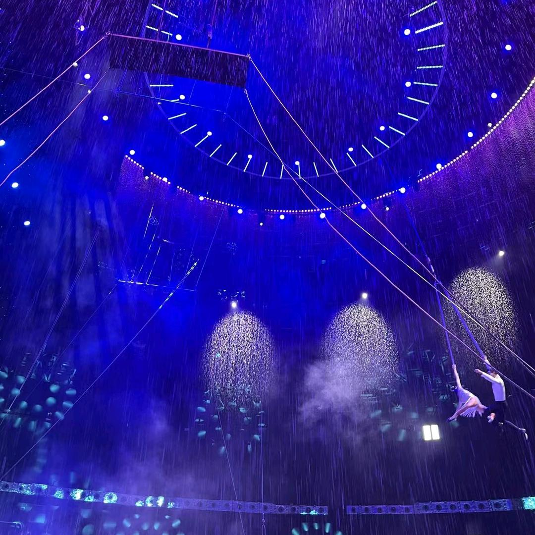 就有一朵小花开放