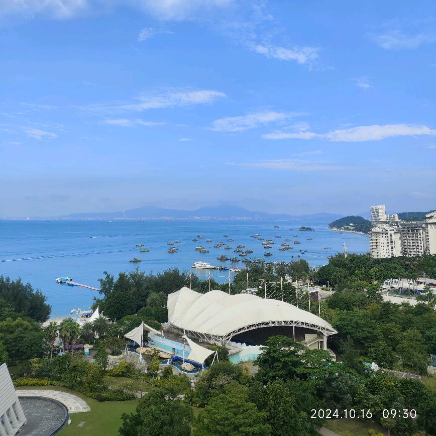 淡若清风