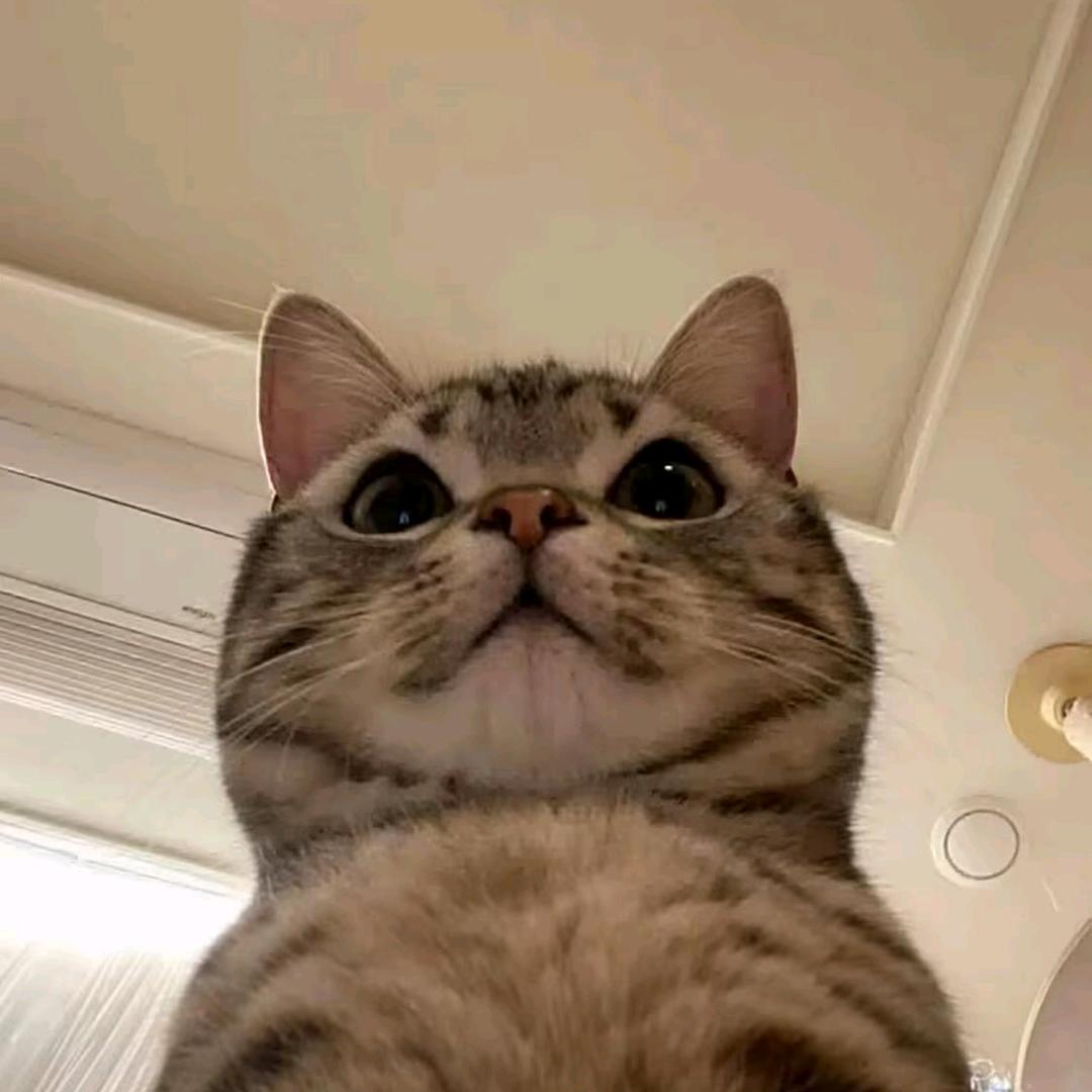 大王