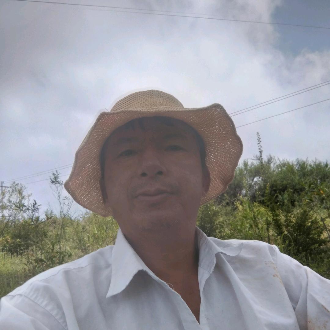 心海