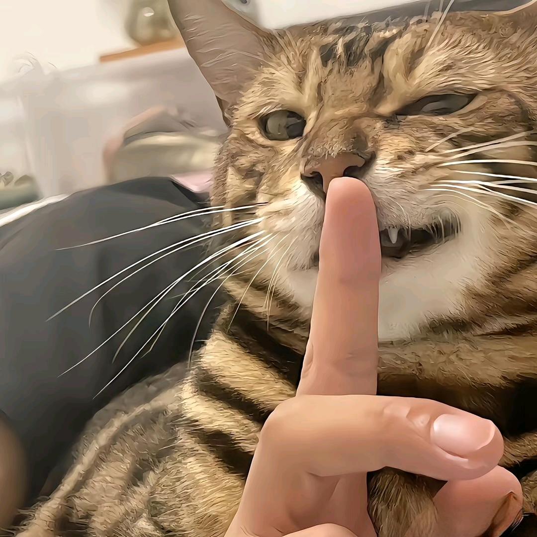 有始有终