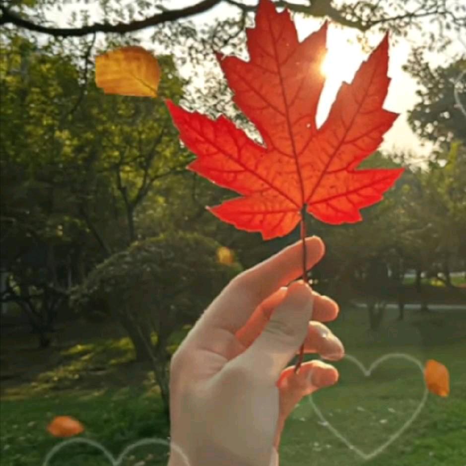 快乐人生🌹🌹