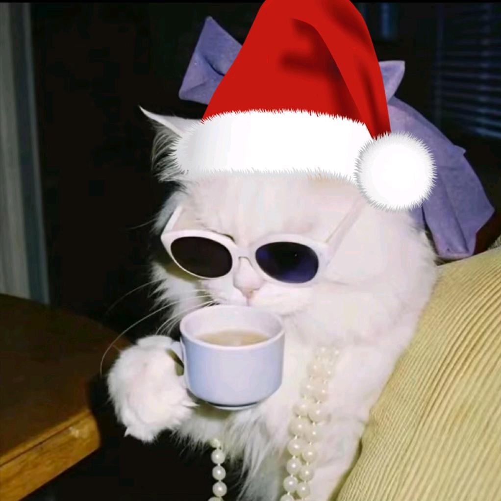 只是扁扁的小猫