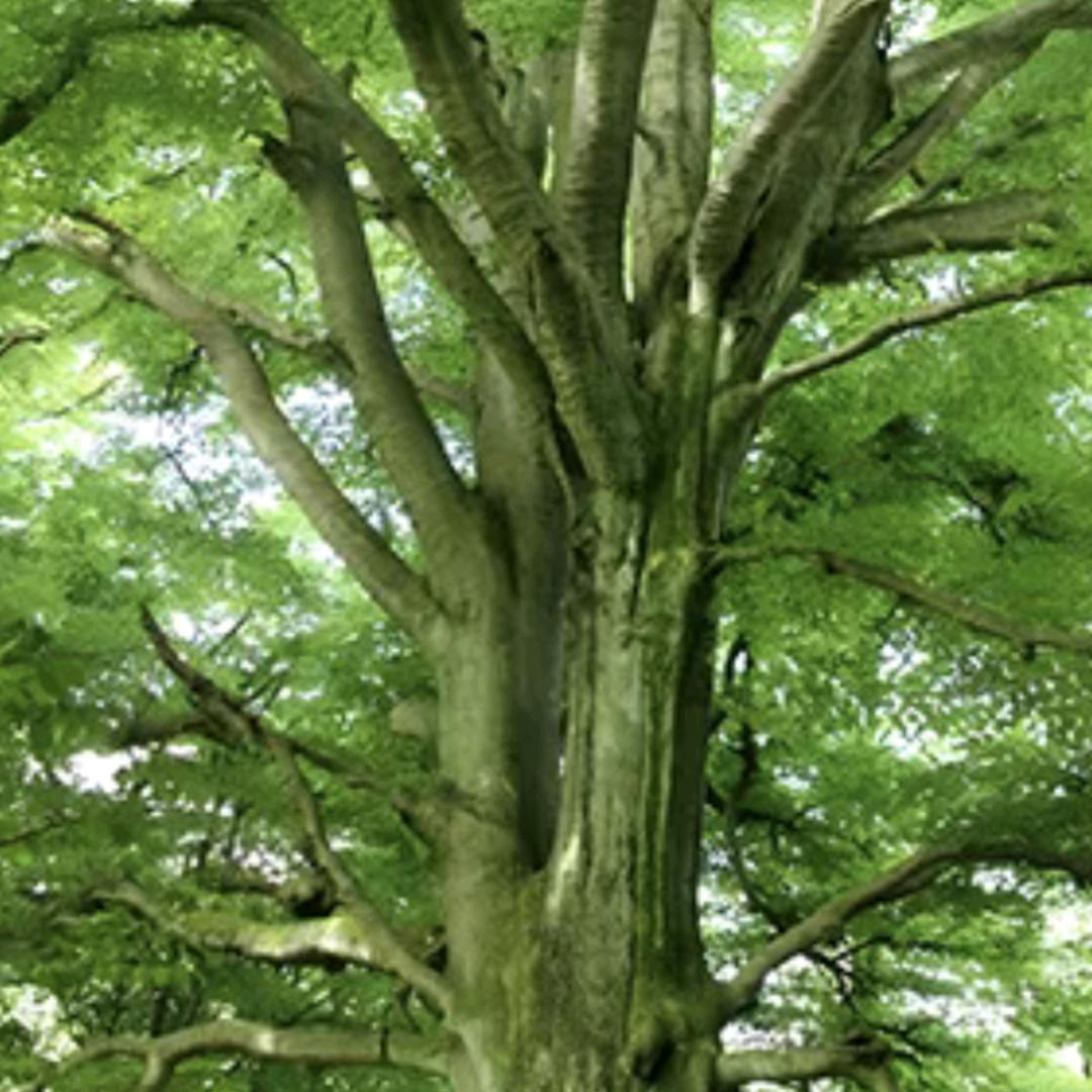 幸福是奋斗出来的！