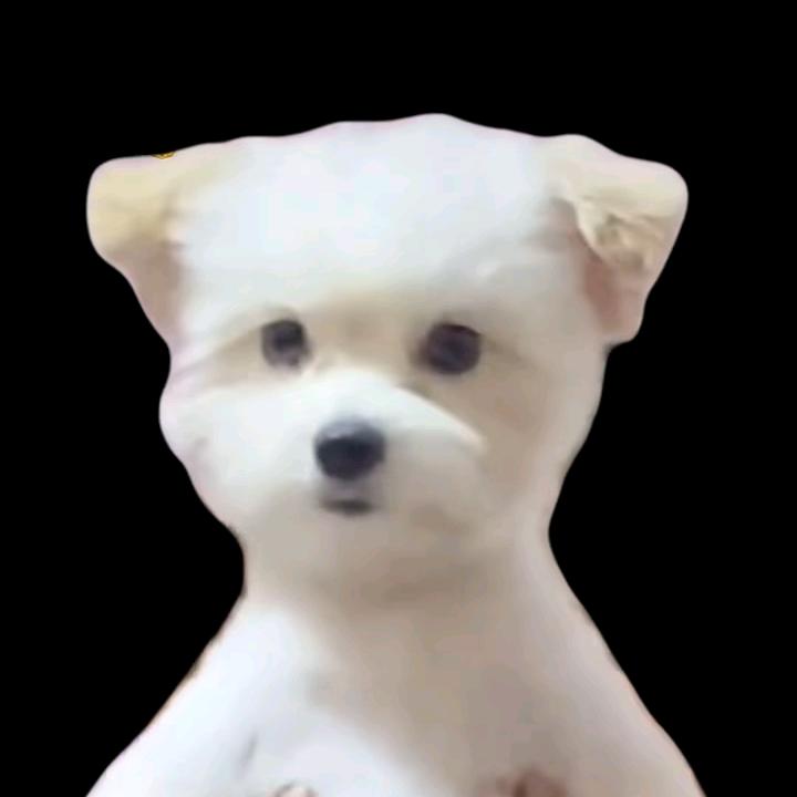 啥啥都发