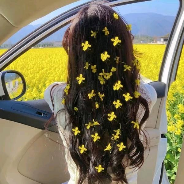 L໊ₒ汐:ᨶ႒ᩚ梓ᵥₑᩚ: