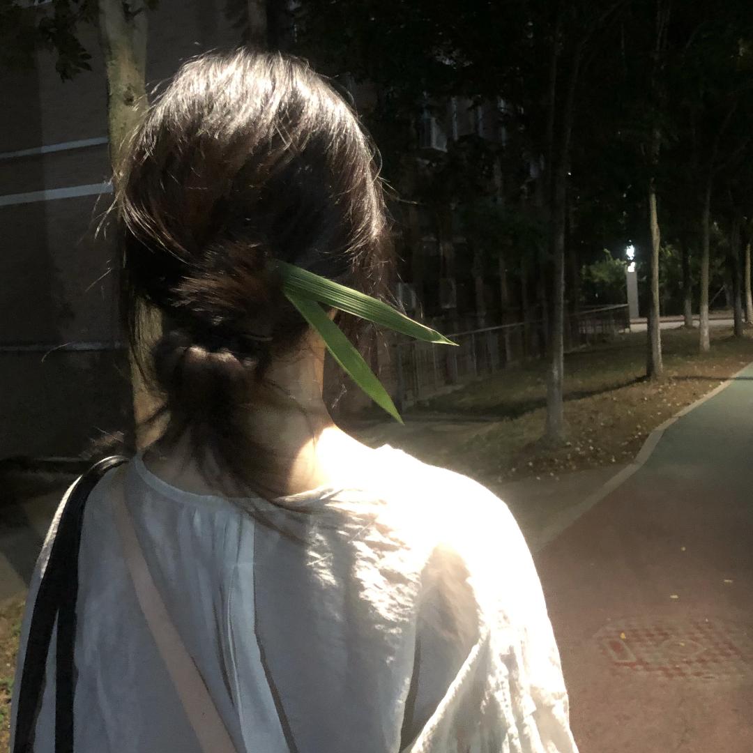 知乐(减肥版)