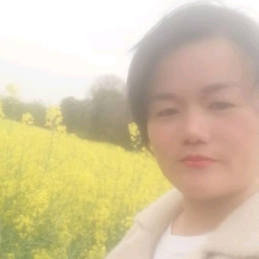 豫Q（老戚）跨区收割机