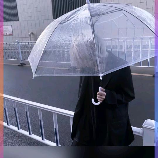 青青🪅子衿