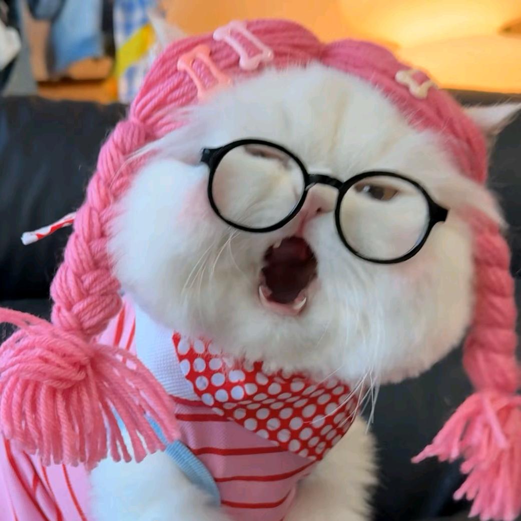 元气少女郭德纲