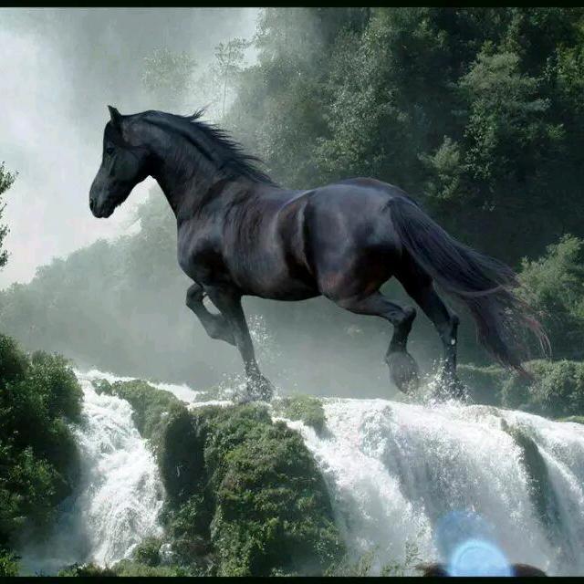 一路走来，冷暖自知。