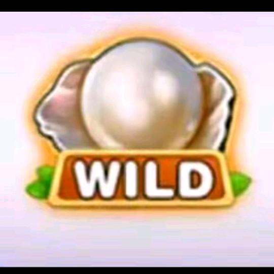 小玛丽24小时客服