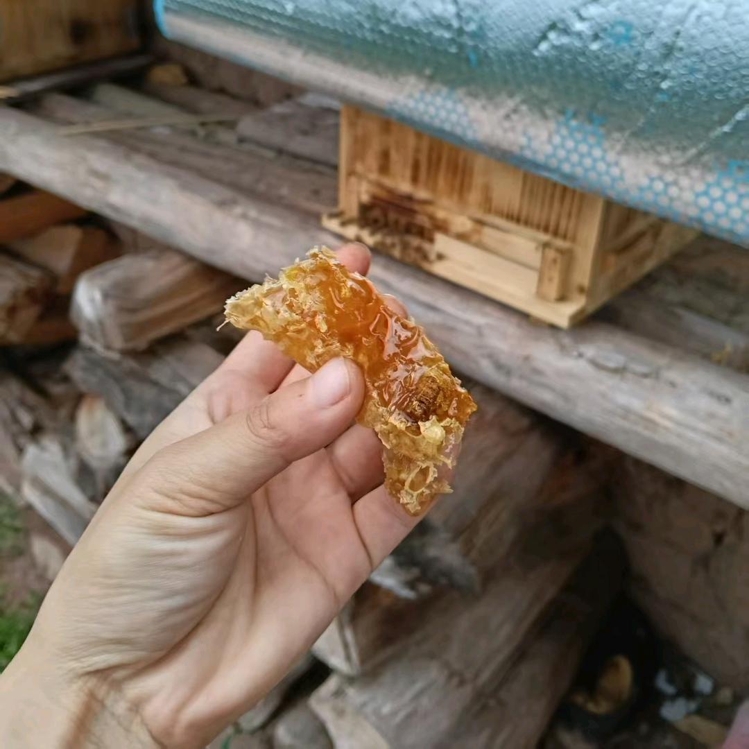 。。。。。。。。