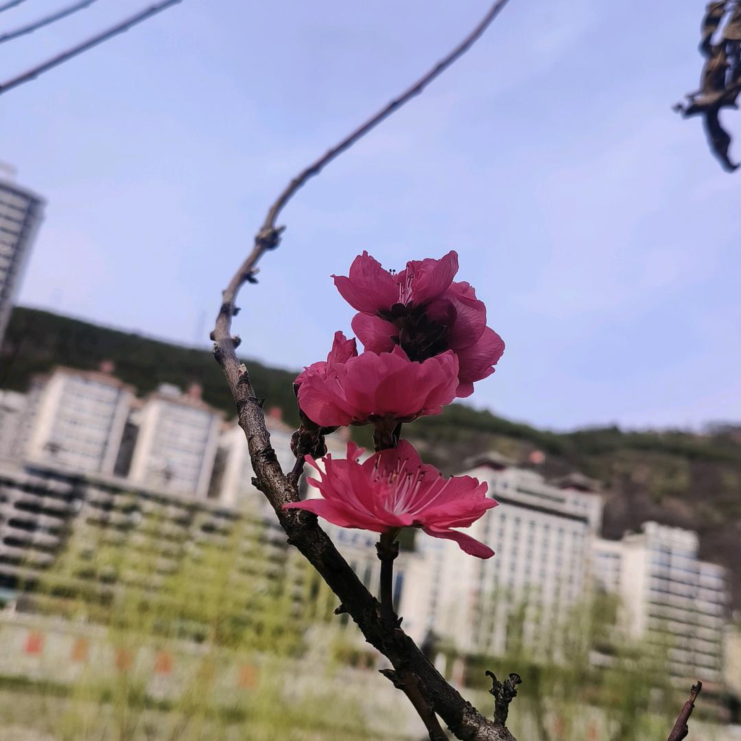 小🐇乖乖