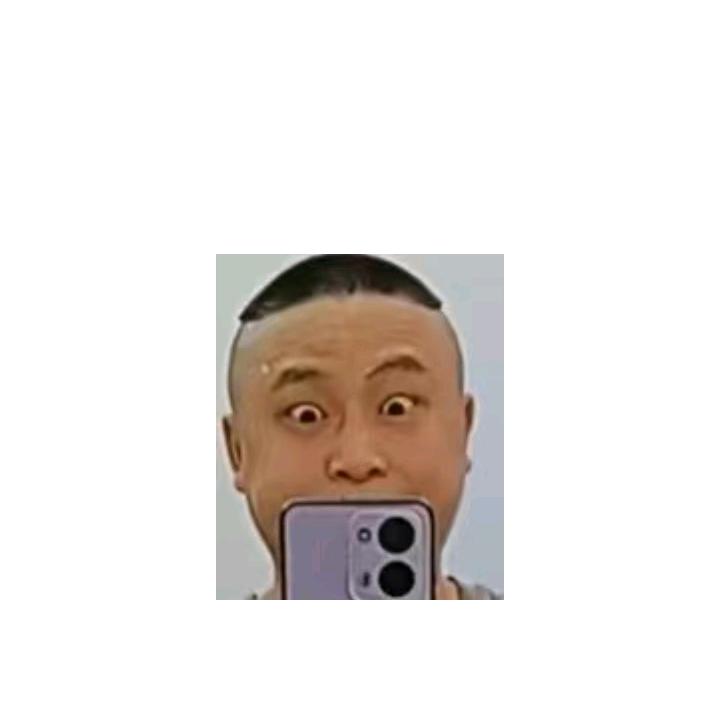 💐鲁🌺蹦🌺子🍄