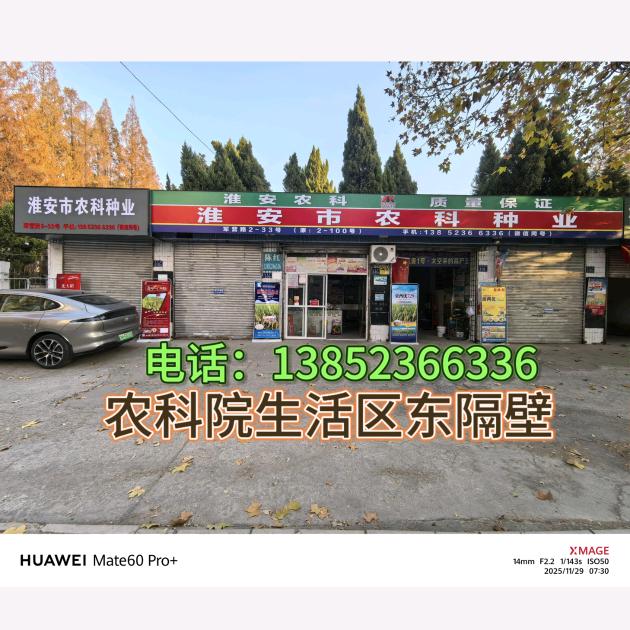 淮安市农科种业