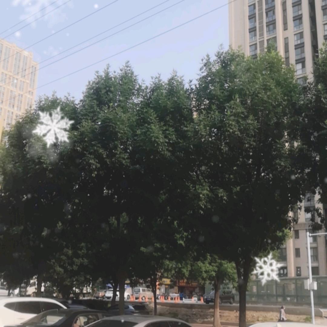 武汉市渐坊投资基金有限公司pluy直播号