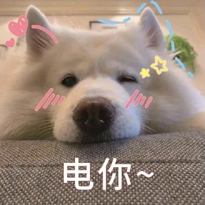 白＼(`Δ’)／修修