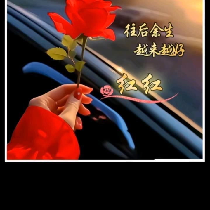 ❤️‍🔥🌹独当一面🌹❤️‍🔥