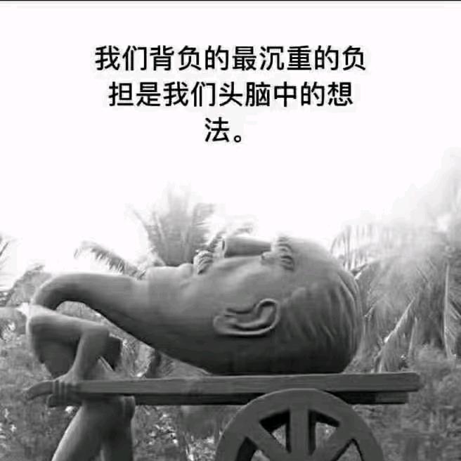 胡萝卜读书
