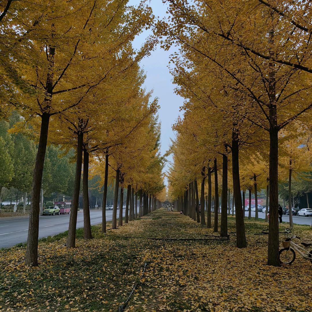 大姐大（橱窗好物分享）