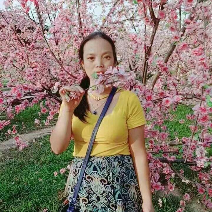 花姐(首播准备中)