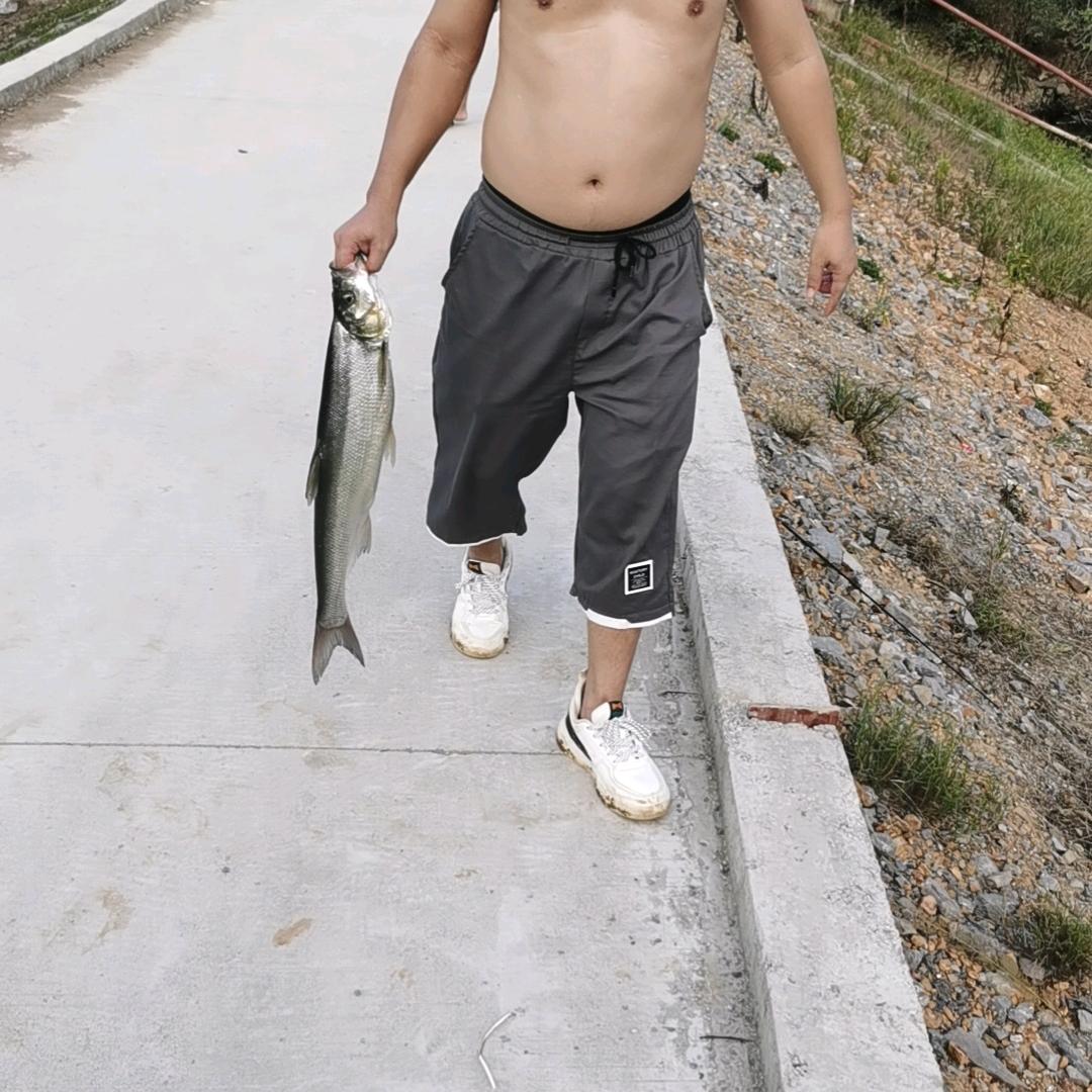 海❤️钓场阿胜