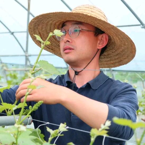 南通 多绿沅农业园 石小杰
