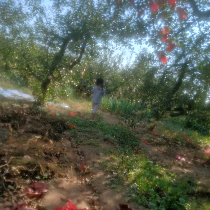 三个崽崽的妈妈《于家❤️小妮》